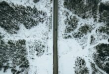 seasonal increase in traffic