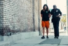 telecom division contact numbers