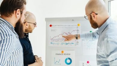 strategic insights portfolio overview